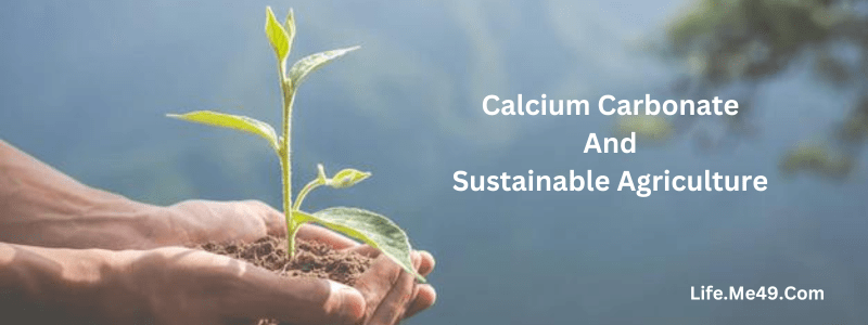 Calcium Carbonate And Sustainable Agriculture 