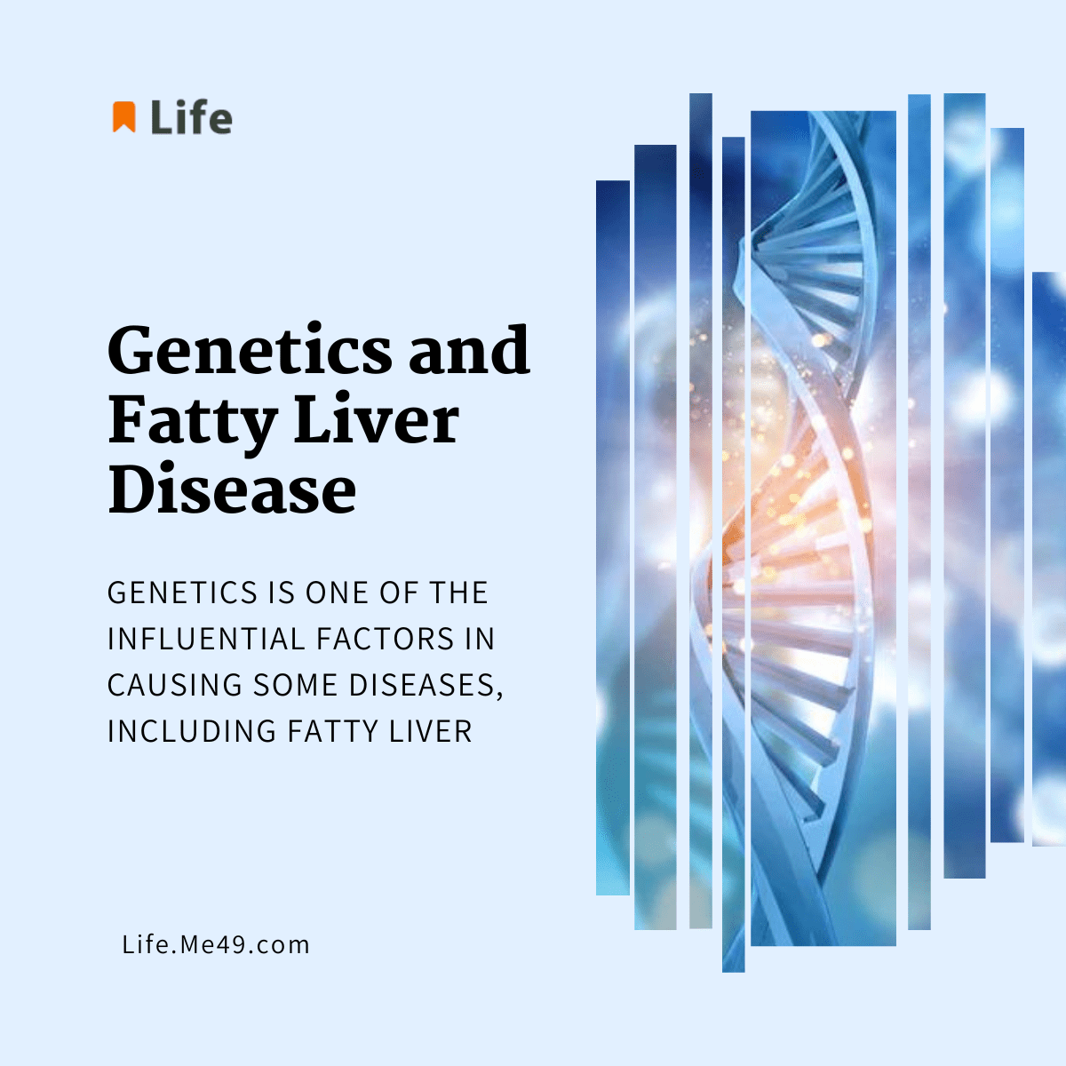 Genetics and Fatty Liver Disease